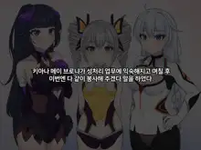 Sexual Processing Valkyrie Service Edition, 한국어