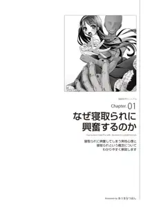 図説NTRマニュアル, 日本語