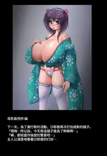 Momohime Vol.4, 中文