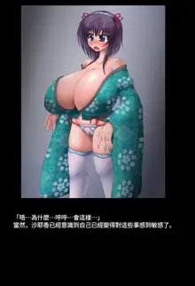 Momohime Vol.4, 中文