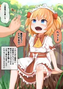 サニーちゃんとドキドキお医者さんごっこ💗 ～かわいい心臓音色♪～, 日本語