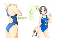 TETHYS, 日本語