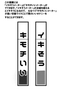 天才魔法少女チクニー大失敗本, 日本語