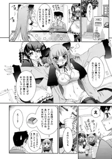 花粉少女こんぷりーと 下, 日本語