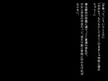 早川君の不幸で幸せな一日, 日本語