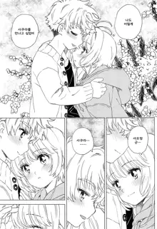 Sakura to Syaoran no Ouchi Date | 사쿠라와 샤오랑의 집 데이트, 한국어