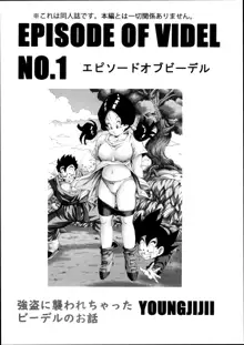 EPISODE OF VIDEL NO.1, Français