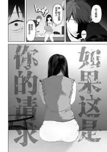 Anata ga Nozomu nara 1-4, 中文