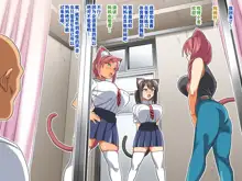 Zenin Baka de Kyonyuu no Shuzoku to Dosukebe Harem Seikatsu, 中文