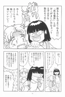 女子小学生日記11, 日本語