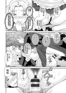 Hatsujou Maid to Goshujin-sama Ch. 4, 中文