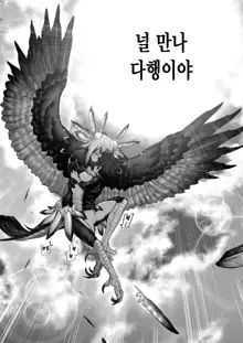 Kodoku no Karte | 고독의 카르테, 한국어