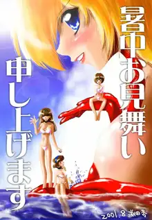 ダイナガール ＣＧ集, 日本語