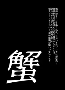 BEYOND～愛すべき彼方の人びと4, 日本語