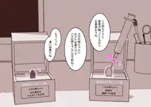 クリボックスになったお姉ちゃんたちのクリを弄り倒す, 日本語