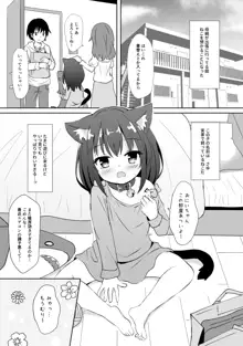 いもうとみたいなねこ, 日本語