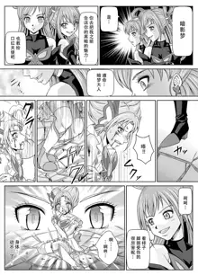 Mou Hitotsu no Ketsumatsu ~Henshin Heroine Kairaku Sennou Yes!! Precure 5 Hen~ 另一个结局 变身女英雄快乐洗脑 yes!! 光之美少女5篇 第二话, 中文