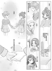 Mou Hitotsu no Ketsumatsu ~Henshin Heroine Kairaku Sennou Yes!! Precure 5 Hen~ 另一个结局 变身女英雄快乐洗脑 yes!! 光之美少女5篇 第二话, 中文