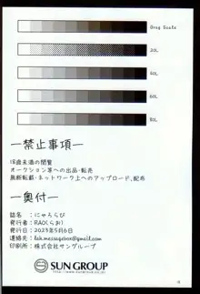 Niyarorabi | 猫与兔, 中文