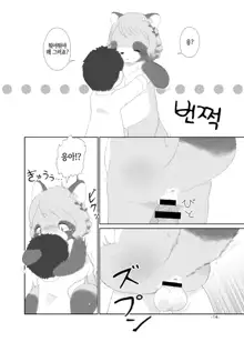 Mami Ana! | 너구리 구멍!, 한국어