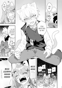 ♂ ga Uke. Neko-chan x Neko-kun | ♂이 수비. 고양이 쨩 × 고양이 군, 한국어