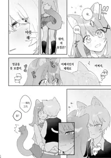 ♂ ga Uke. Neko-chan x Neko-kun | ♂이 수비. 고양이 쨩 × 고양이 군, 한국어