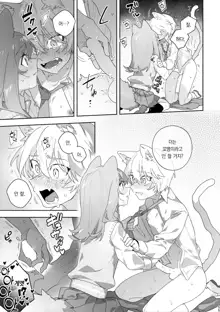 ♂ ga Uke. Neko-chan x Neko-kun | ♂이 수비. 고양이 쨩 × 고양이 군, 한국어