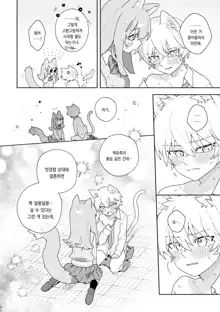 ♂ ga Uke. Neko-chan x Neko-kun | ♂이 수비. 고양이 쨩 × 고양이 군, 한국어