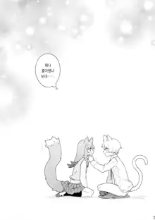 ♂ ga Uke. Neko-chan x Neko-kun | ♂이 수비. 고양이 쨩 × 고양이 군, 한국어