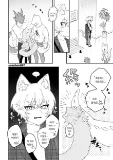 ♂ ga Uke. Neko-chan x Neko-kun | ♂이 수비. 고양이 쨩 × 고양이 군, 한국어