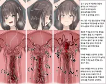 벌레연구보고서 합본 Mushi Research Report, 한국어