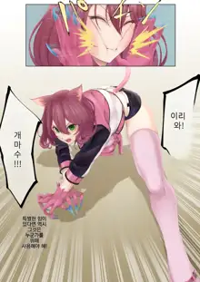 Nekomimi Henshin Heroine Shisshin Haiboku Ryoujoku 2 | 네코미미 변신히로인 실신 패배 능욕 2, 한국어