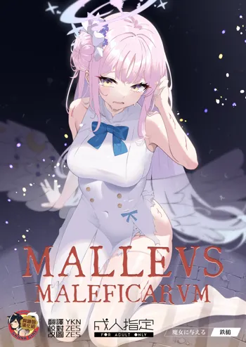 Malleus Maleficarum -Majo ni Ataeru Tettsui-, 中文