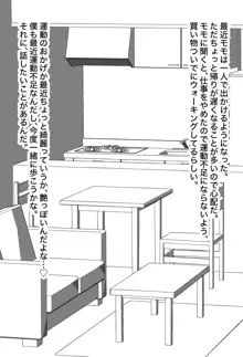 嫁のろけエッセイを描いたら、ファンに特定されて寝取られた件 1&2, 日本語