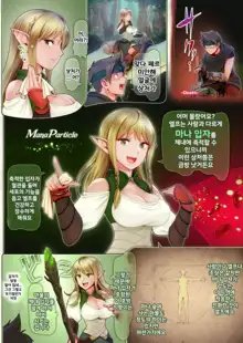 Fel to Mana no Mori -Taieki de Tairyoku Kaifuku Sasetekureru Bakunyuu Healer Elf- | 페르와 마나의 숲 -체액으로 체력회복 시켜주는 폭유힐러 엘프-, 한국어