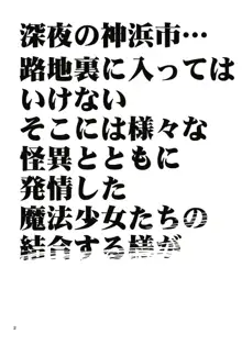 路地裏の淫魔たち, 日本語