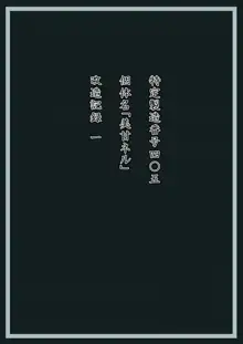 美甘ネル 改造記録 File.01, 日本語