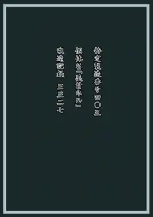 美甘ネル 改造記録 File.02, 日本語