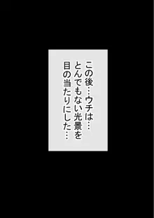 わらしべおま〇こ!ヤれる子つなぎの性生活2, 日本語