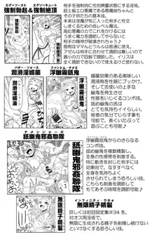 悪魔娘監禁日誌 第2部～屋敷編～ Part 1, 日本語