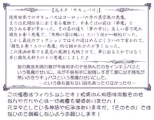 悪魔娘監禁日誌 第2部～屋敷編～ Part 1, 日本語