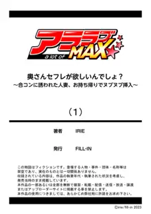 奥さんセフレが欲しいんでしょ？～合コンに誘われた人妻、お持ち帰りでヌプヌプ挿入～ 1, 日本語