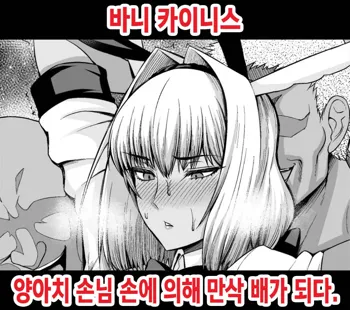 Bunny Caenis, Chinpira Kyaku ni Bote Hara ni Sareru | 바니 카이니스, 양아치 손님 손에 의해 만삭 배가 되다., 한국어