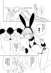 Kangaroo no Kimochi Ii, 中文