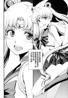 Usagi no Junjou!? Chin Make Bishoujo Senshi!, 中文