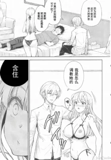 Indeki no Reijou 总集编 (decensored), 中文