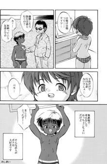 夏のしるし, 日本語