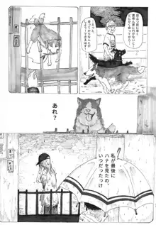 Stray Dogs, 日本語