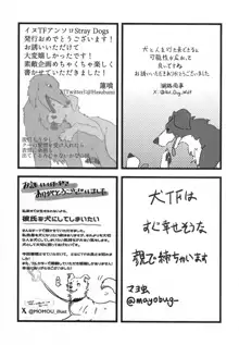 Stray Dogs, 日本語