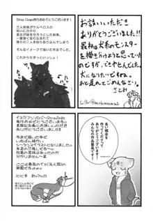 Stray Dogs, 日本語